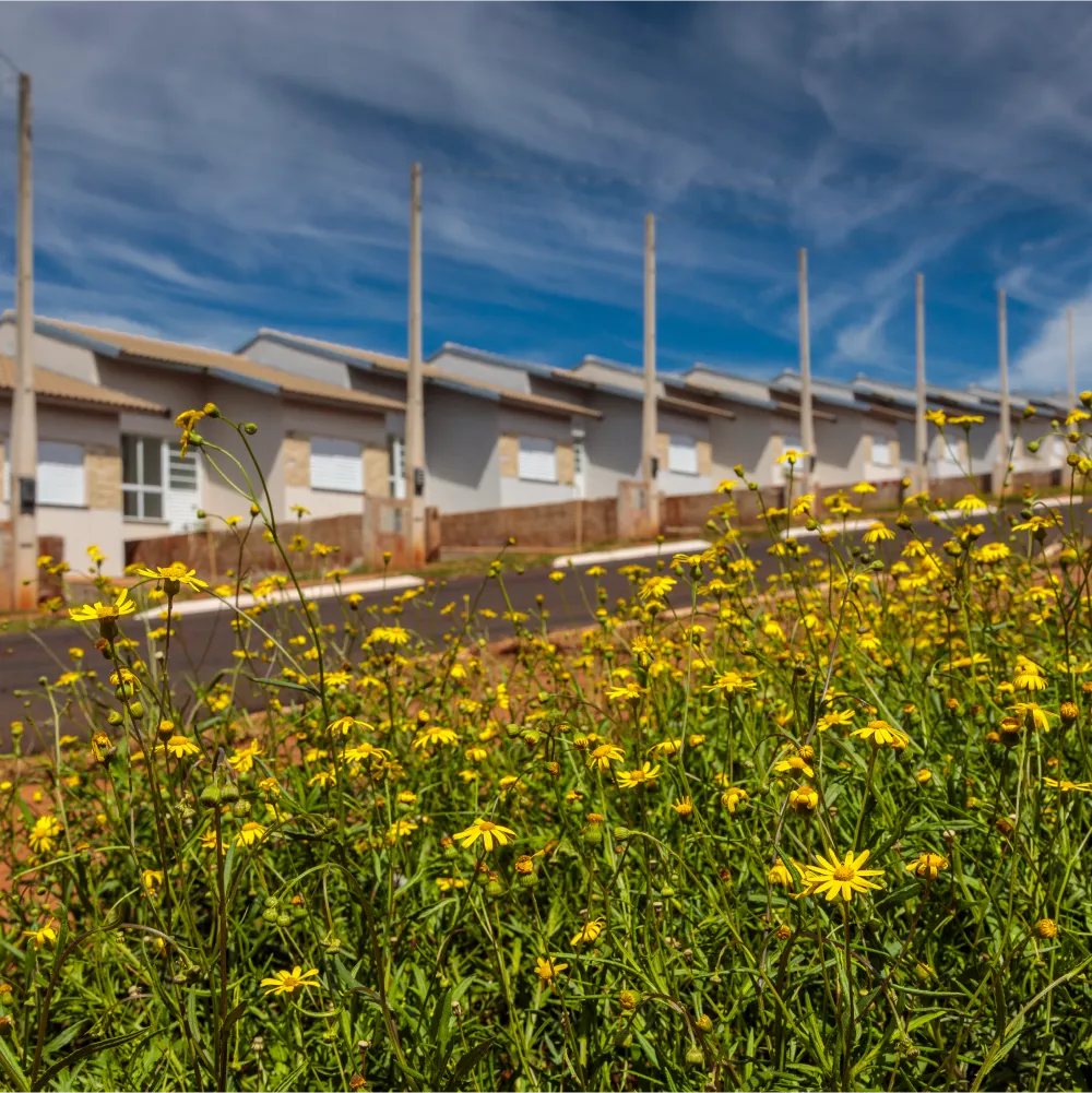 img-ecovita-sobrenos-01